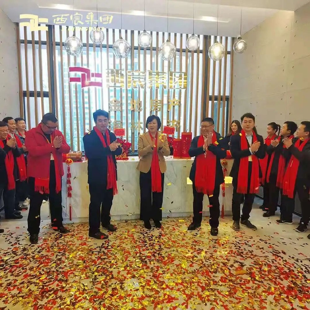 西宸集團(tuán)品牌升級(jí) 構(gòu)筑品質(zhì)人居